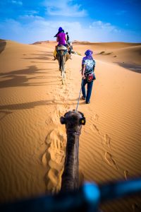 Camel ride morocco